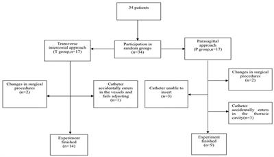 A Comparison of Puncture and Continuous Pump Analgesia With Two Different Approaches to Thoracic Paravertebral Block for Thoracic Surgery